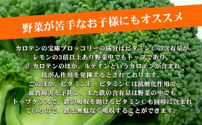 【 小豆島 】小豆島手延ブロッコリー麺　4袋セット 麺類 