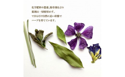 ハーブ仁淀川産 自然栽培ハーブ 高知ブルース ハーブティー ティーバッグタイプ 7袋入り ティーバッグ 無農薬 ハーブ ティー リラックス お茶 睡眠 香り ストレート【ハーブ仁淀川】 [BQBO027]