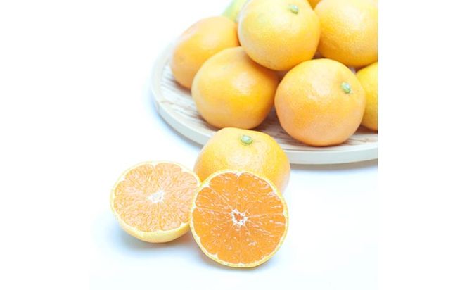 家庭用 ハウスみかん0.5kg+250g（傷み補償分）