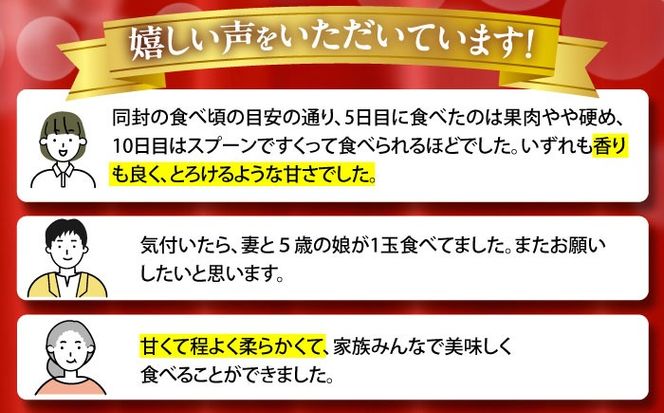 【2025年7月下旬〜発送】【平成新山メロンPREMIUM（とみちゃん厳選）】アールスメロン 2玉 / メロン めろん 果物 フルーツ / 南島原市 / うえだメロン園 [SAD004] 