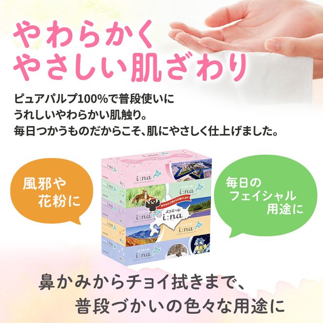 定期便 3ヵ月連続お届け エリエール ハーフサイズ 収納に便利 コンパクト 【少量6パック】 i:na 北海道 ティシュー 150組 5箱 6パック 計30箱 フィルムレス ふるさと納税限定デザイン イーナ 箱ティッシュ 備蓄品