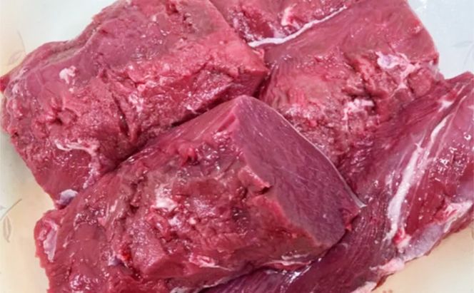 鹿肉ドッグフード　鹿肉ハンバーグ（犬用）　10個（約50g×10個） 加工食品 お肉 家族 健康 食事 大切 ペット 自然 新鮮 動物 高品質 安心 安全 国産 子犬 老犬 栄養 小分け 