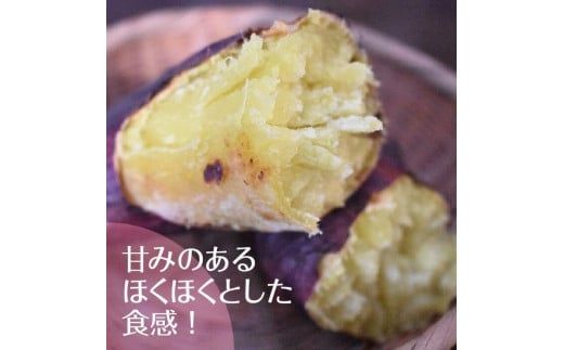ホクホクで甘いさつまいも すずほっくり5kg（茨城県共通返礼品・行方市産）(AK205)