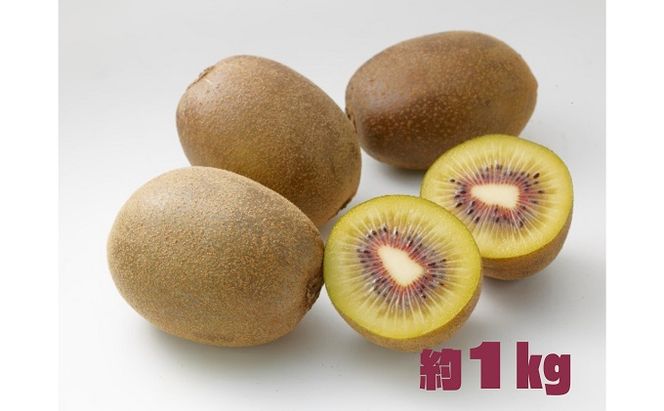 【 小豆島 】 さぬきエンジェル スイートキウイ 約1kg 化粧箱 フルーツ 果物 キウイ キウイフルーツ さぬき くだもの 国産 香川 香川県 土庄 土庄町