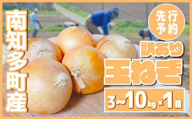 [2027年先行予約 容量選べる] 訳あり 玉ねぎ 3〜10kg (1箱) [5月以降発送] 野菜 オニオン 甘い 玉葱 肉じゃが ハンバーグ 家庭用 大きさ不揃い たまねぎ
