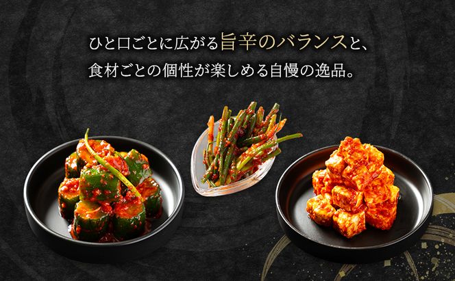 ヨンくんの秘味キムチ 定番キムチ6種セット キムチ おつまみ 韓国食材 韓国料理 静岡県 袋井市