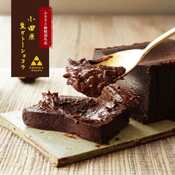 極上の口溶け。幸せの生ガトーショコラ 200g 【 濃厚  極上スイーツ グルテンフリー チョコ ショコラテリーヌ 高品質クーベルチュールチョコレート使用 一流シェフ 神奈川県 小田原市 】 142069_DW018