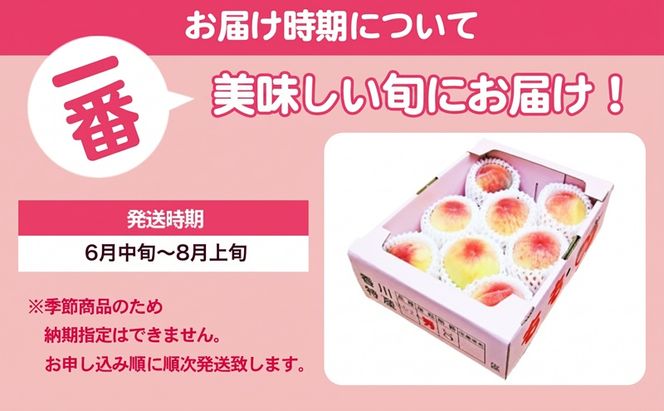 桃 もも 瀬戸内 さぬきの桃 約1.8kg 5から10玉 柔らか 芳醇 果肉 ピーチ モモ 贈答用 ギフト プレゼント 手土産 お祝い デザート フルーツ 果物 くだもの 果実 冷蔵 お取り寄せ 五色青果 香川県 東かがわ市 46311931