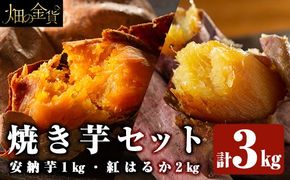 a800 ＜先行予約受付中！2024年4月以降順次発送予定＞畑の金貨・冷凍焼き芋セット(安納芋1kg・紅はるか2kg)計3kg【甘いも販売所】姶良市 焼芋 おやつ