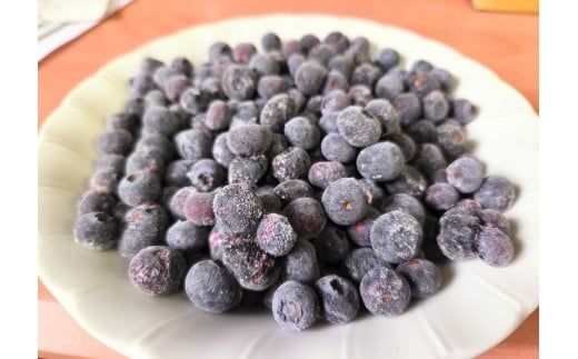 余市の砂川果樹園が贈る 訳あり冷凍ブルーベリー1Kg_Y033-0037