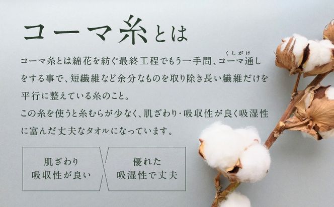 010B1895 コーマカラーフェイスタオル6枚セット（スペクトルグリーン）【泉州タオル 国産 吸水 薄手 普段使い 無地 シンプル 日用品】