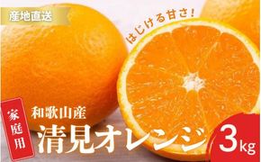 【先行予約】家庭用 訳あり きよみ 清美オレンジ 和歌山 有田 2S～3Lサイズ混合 3kg【2月上旬～3月下旬頃に順次発送】/ みかん フルーツ 果物 くだもの 蜜柑 柑橘【ktn041】