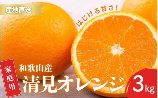 【先行予約】家庭用 訳あり きよみ 清美オレンジ 和歌山 有田 2S～3Lサイズ混合 3kg【2月上旬～3月下旬頃に順次発送】/ みかん フルーツ 果物 くだもの 蜜柑 柑橘【ktn041】