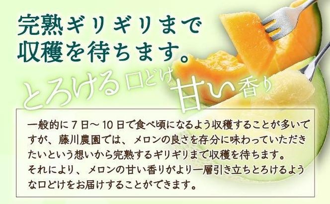 ＜2026年先行予約＞北海道産 有珠メロン 2玉 セット 赤肉 Lサイズ 1.6kg以上×2玉 ツル付き レッドルピア 果物 めろん フルーツ くだもの 完熟 旬 ご褒美 ギフト お祝い 産地直送 お取り寄せ 北海道 藤川農園 送料無料 伊達