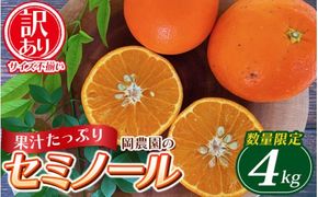 訳あり品 サイズ混合 ご家庭用 岡農園のセミノール4kg【2025年3月下旬から4月下旬までに順次発送】 / セミノール わけあり 訳あり 家庭用 みかん 蜜柑 数量限定 ミカン【mok009B】