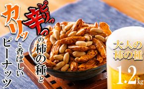 ビールが進んでゴメン！ピリっ辛っ！大粒柿の種＆カリッと香ばしく甘みの強いバターピーナッツ。大人の柿の種 元祖大柿1.2kg（200g×6パック）│柿の種 おつまみ 酒のつまみ 晩酌 ビール 三重県 四日市 ふるさと納税-[G618]