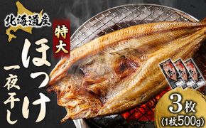 北海道産 ほっけ一夜干し（500～550g）×3枚 ｜ 釧路町の匠が贈る 北の至宝 ホッケ 干物 焼魚 焼き魚 白身魚 セット ひもの 魚干物 一人暮らし セット おかず 冷凍 スピード発送 すぐ届く 魚介類 海鮮 絶品 人気 ヒロセ すぐ発送 北海道 釧路町 釧路超 特産品