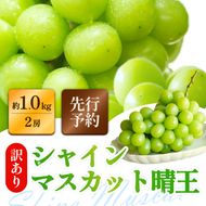 訳あり シャインマスカット 晴王 2房 合計1.0kg以上 ぶどう 葡萄 シャイン マスカット 岡山 岡山県産 桃太郎御一行 2026年 先行予約