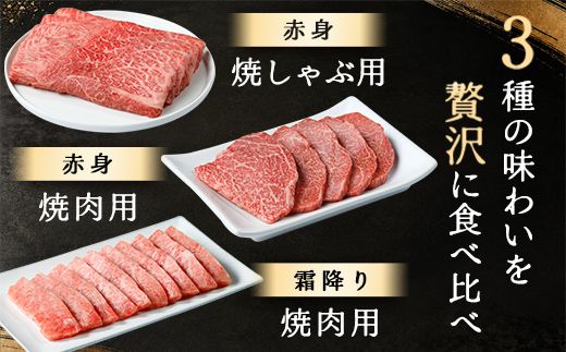 【近江牛　毛利志満】近江牛焼肉3点盛セット　【450ｇ】【S034W】（国産牛　和牛　ブランド牛　ブランド和牛　黒毛和牛　牛肉　肉　高級　人気　おすすめ　神戸牛　松阪牛 に並ぶ 日本三大和牛 近江牛）