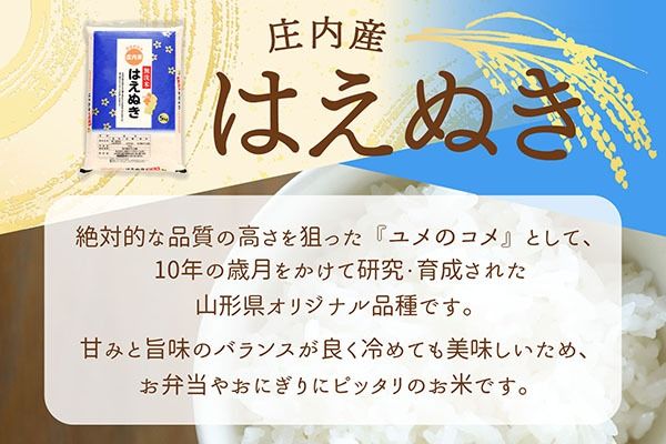 庄内産 はえぬき 無洗米 20kg 5kg×4袋 令和7年産 2025年産 余目産 余目町農協 あまるめ ブランド米 米 国産 単一原料米 山形 庄内平野 コシヒカリの原点、亀の尾発祥の地 庄内