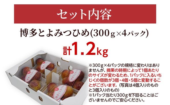 いちじく 博多とよみつひめ 300g×4パック いちじく イチジク 無花果 計1.2kg 福岡限定 フルーツ 果物 とよみつひめ 九州 福岡 ジューシー 糖度が高い スムージー フレッシュ 福岡県産【2026年7月下旬以降順次発送予定】