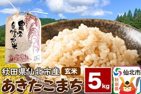 【玄米】令和7年産 あきたこまち 5kg 米 お米 こめ 秋田県 仙北市産|02_kwm-020501