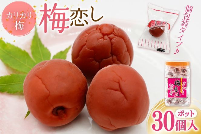 yRBsz~ ~|bg 30 [R_YHi R Bs 20743520] ~ ߂ڂ  ~ Е   ܂ MǗ\h