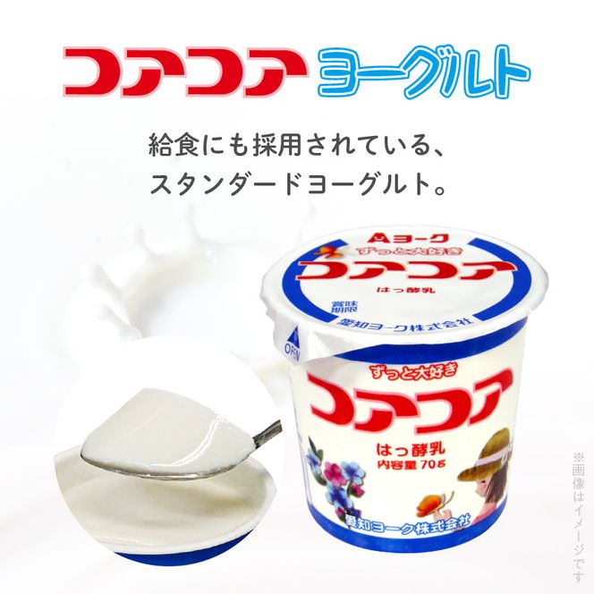 愛知ヨーク　コアコアヨーグルト　20個入　ヨーグルト デザート 健康 給食 保育園 幼稚園 小学校 中学校 支援学校 病院 高齢者施設 ［108A01］