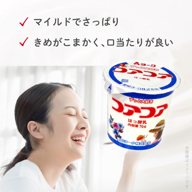 愛知ヨーク　コアコアヨーグルト　20個入　ヨーグルト デザート 健康 給食 保育園 幼稚園 小学校 中学校 支援学校 病院 高齢者施設 ［108A01］