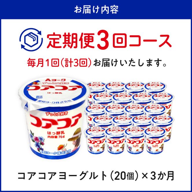 【3ヶ月定期便】愛知ヨーク　コアコアヨーグルト　20個入［108A01-T］