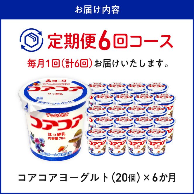 【6ヶ月定期便】愛知ヨーク　コアコアヨーグルト　20個入［108A02-T］