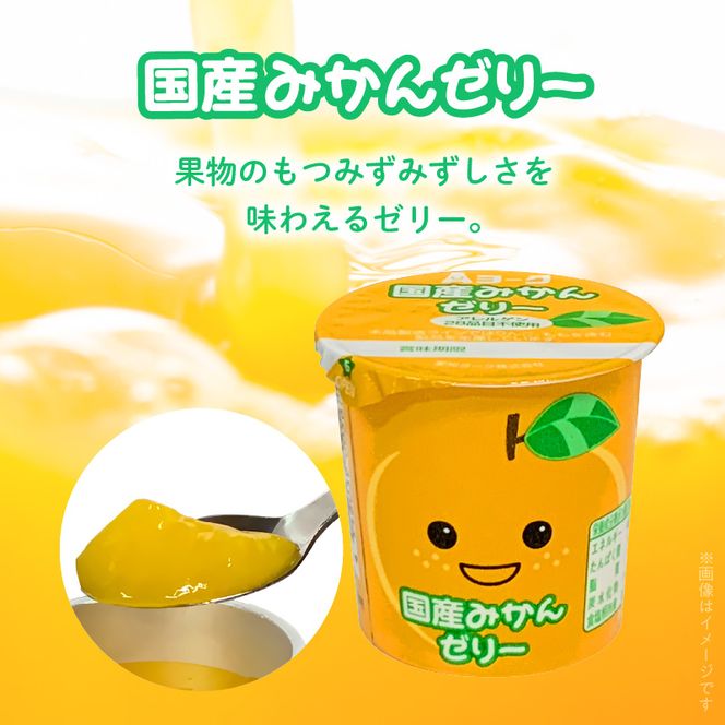 愛知ヨーク　国産みかんゼリー　20個入　ゼリー デザート 国産果汁 アレルギー不使用 健康 給食 保育園 幼稚園 小学校 中学校 支援学校 病院 高齢者施設［108A03］