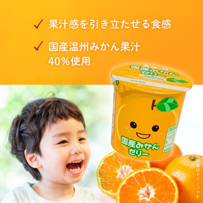 愛知ヨーク　国産みかんゼリー　20個入　ゼリー デザート 国産果汁 アレルギー不使用 健康 給食 保育園 幼稚園 小学校 中学校 支援学校 病院 高齢者施設［108A03］