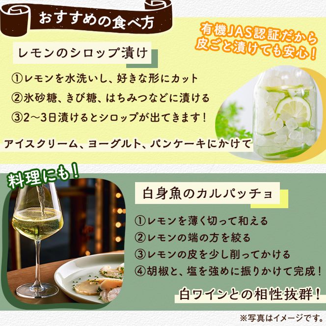 数量限定！有機JAS 訳ありオーガニックレモン(約5kg) 国産 訳あり レモン 檸檬 果実 果物 フルーツ 柑橘 デザート 期間限定 有機栽培 健康志向 【中村農場】akn084-02