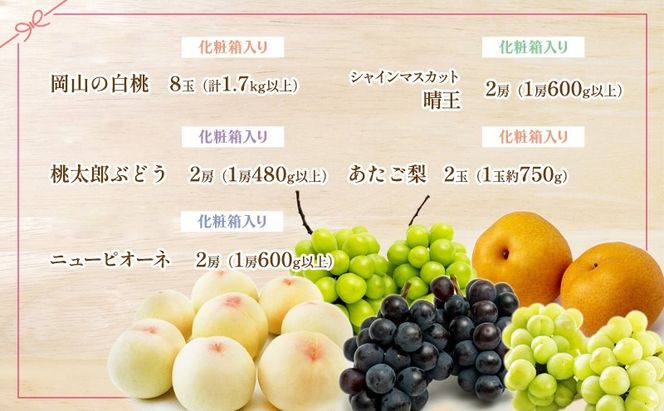 フルーツ 定期便 2026年 先行予約 フルーツ王国 岡山を堪能 5回コース 桃 もも 葡萄 ぶどう 梨 なし岡山県産 国産 果物 セット ギフト 柔らかい マスカット 甘い 酸味 高級 香り 風味