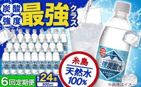 【全6回定期便】強炭酸水 プレーン 500ml × 24本 糸島市 / スターナイン 炭酸水 国産 [ARM010] 炭酸水 500ml 24本 送料無料 プレーン 国産 炭酸 常温
