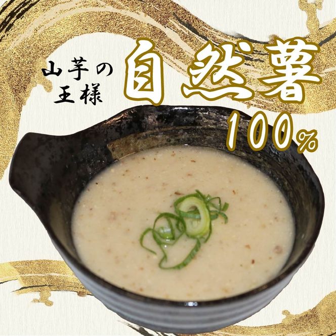 yÉ}szƂ Ⓚ 125g × 4 R 100  Zbg Ƃ`  R y _ѐYȏ     ` N h{  oe Ƃ  É }s