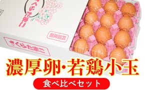 【山田養鶏】濃厚卵・若鶏小玉　食べ比べセット [No.187]