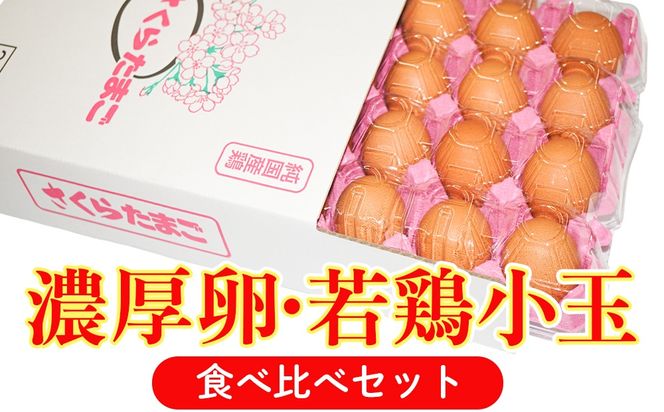 【山田養鶏】濃厚卵・若鶏小玉　食べ比べセット [No.187]