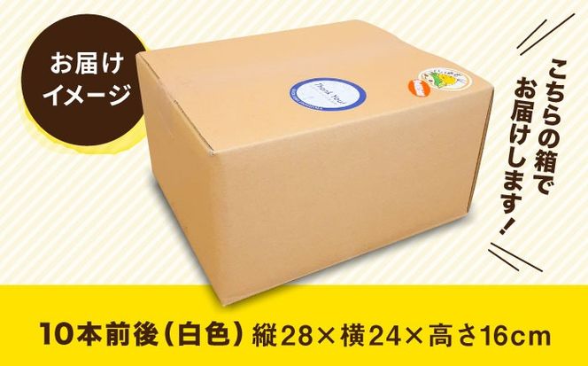 【先行予約】 糸島 トウモロコシ 『もきっこ』 白 （10本前後 ）【2025年6月下旬以降順次発送】 《糸島》 【内田農業】 [AZH002]