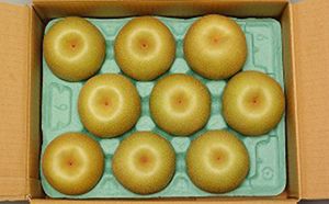 梨 豊水 2.8kg フルーツ 果物 くだもの デザート 筑前あさくら農協 配送不可 離島