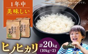 【年内発送】糸島産 ヒノヒカリ 20kg 糸島市 / 平山農園 米 白米 米 白米 ご飯 お米 20kg[AXN007]