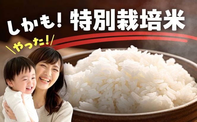 【6回定期便】特別栽培米　キヌヒカリ　白米　10kg　お米　精米　愛西市／株式会社戸倉トラクター[AECS044]