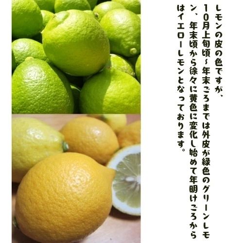 【先行予約】紀州 和歌山　有田 レモン 2kg+200g(傷み補償分) / 檸檬 柑橘 オレンジ フルーツ 果物 くだもの ※2026年9月下旬～2027年2月上旬に順次発送予定 ※北海道・沖縄・その他離島地域は発送不可 【ard040-r-2A】