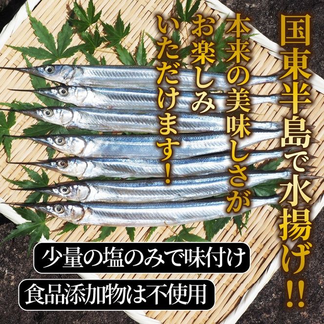 国東さよりの一夜干し/大漁1kg_1043R