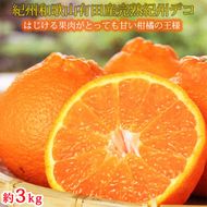 果肉プリプリ♪　完熟紀州デコ(不知火) 約3kg ｜ 柑橘 不知火 デコポン みかん フルーツ 果物 旬 先行予約 でこぽん 国産 産地直送 完熟 一級品  美浜町
