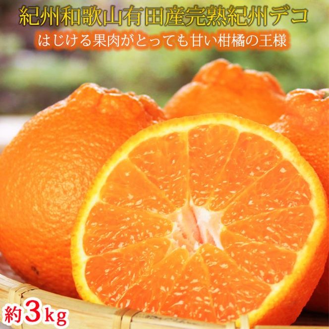 果肉プリプリ♪　完熟紀州デコ(不知火) 約3kg ｜ 柑橘 不知火 デコポン みかん フルーツ 果物 旬 先行予約 でこぽん 国産 産地直送 完熟 一級品  美浜町