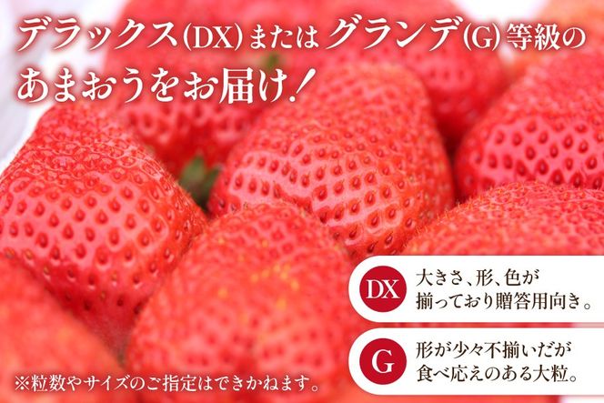 【期間限定発送】 いちご 春の苺 あまおう 4パック [南国フルーツ 福岡県 筑紫野市 21760096] いちご 苺 イチゴ フルーツ 果物 期間限定 季節限定 福岡県産 甘い 