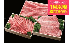 神戸牛 すき焼き 焼肉 ロースステーキ フルコースセット（2.9kg）(TY-FC20)/ 牛肉 霜降り 但馬牛 黒毛和牛 和牛 国産牛 肩 モモ ロース 焼き肉 ステーキ肉 すき焼き肉 神戸ビーフ 太田牧場【但馬牛太田家】【好評につき1月以降順次発送】