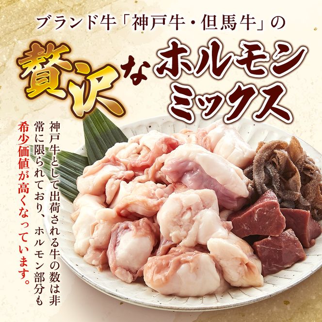 【神戸牛・但馬牛】ホルモンミックス 500g 小腸 大腸 ミノ ハチノス センマイ アカセン